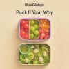 BLUE GINKGO Silicone Lunch Box Set – Durable Heavy-Duty Silicone Bento Box, Microwave, Freezer, Dishwasher Safe – Airtight, BPA Free (Made in Korea, Coral)(Gray)
