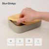 BLUE GINKGO Silicone Lunch Box Set – Durable Heavy-Duty Silicone Bento Box, Microwave, Freezer, Dishwasher Safe – Airtight, BPA Free (Made in Korea, Coral)(Gray)
