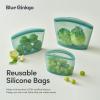 Blue Ginkgo Reusable Silicone Storage Bags – 3-Pack | Korean-Made Stand Up Food, Freezer Bags – Clear(FOREST GREEN)