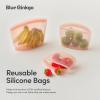 Blue Ginkgo Reusable Silicone Storage Bags – 3-Pack | Korean-Made Stand Up Food, Freezer Bags – Clear(PEACH)