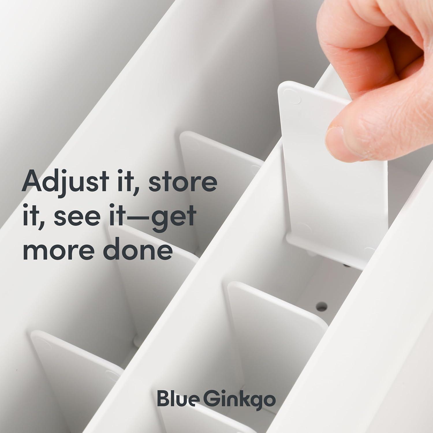 imageBLUE GINKGO Desk Organizer KoreanMade Office Storage for Pens Notes Mail and Supplies Prussian BlueWHITE