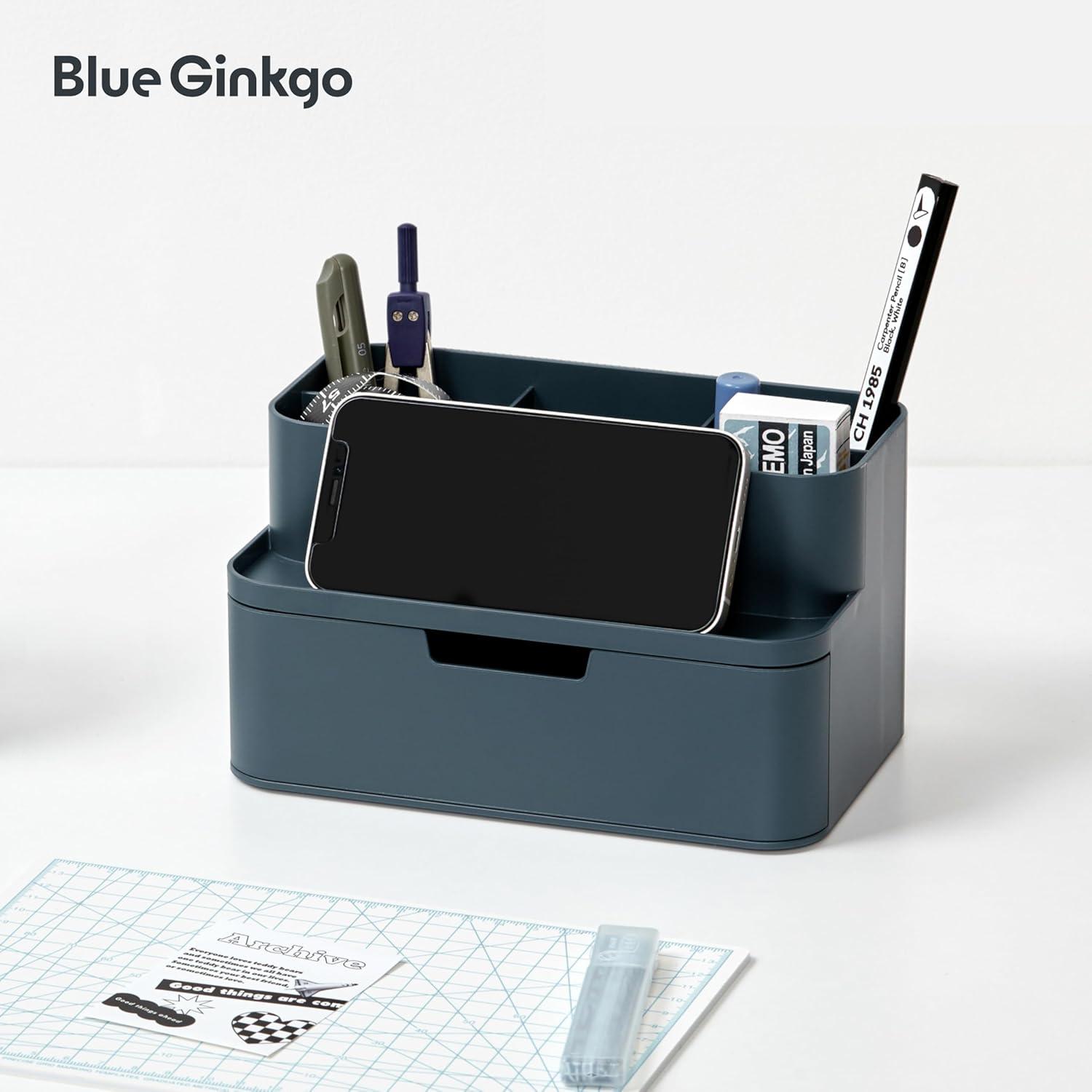 imageBLUE GINKGO Hive Desk Organizer Vertical 6Compartment Fulldrawer Storage SpaceSaving Pen Holder Stationery Storage Organizer for Office School Supplies Makeup Made in Korea GreenBLUE