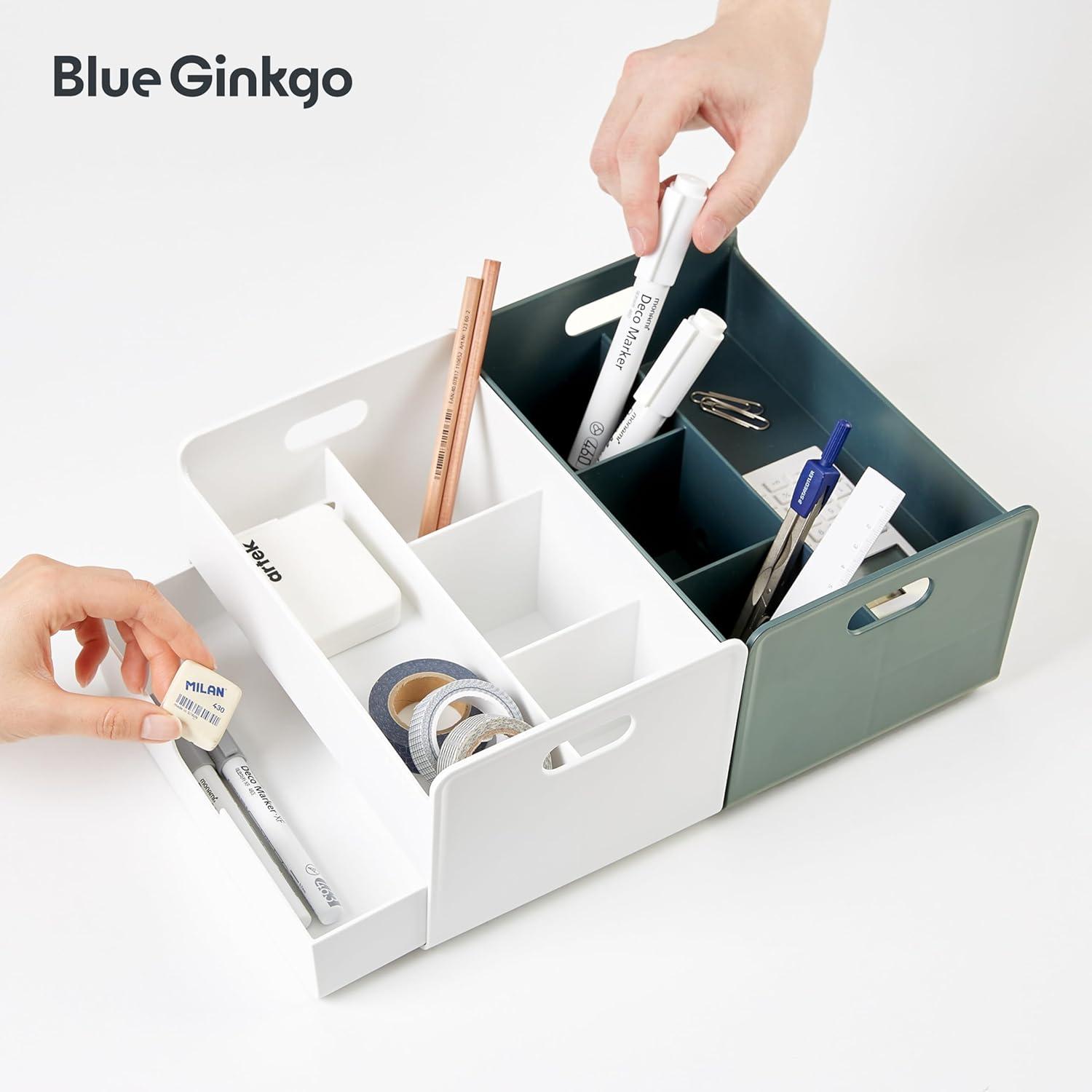 imageBLUE GINKGO Hive Desk Organizer Vertical 6Compartment Fulldrawer Storage SpaceSaving Pen Holder Stationery Storage Organizer for Office School Supplies Makeup Made in Korea GreenGREEN