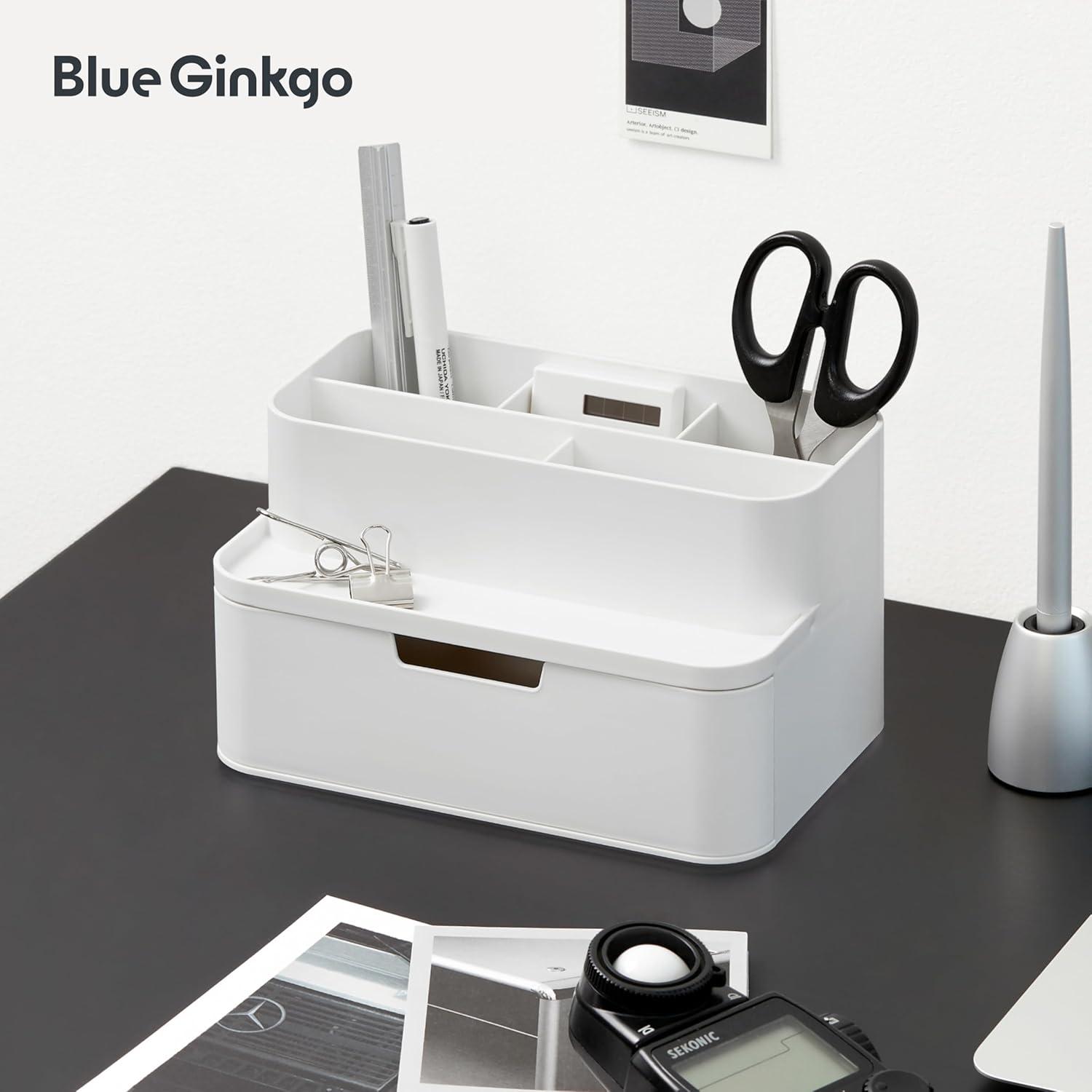 imageBLUE GINKGO Hive Desk Organizer Vertical 6Compartment Fulldrawer Storage SpaceSaving Pen Holder Stationery Storage Organizer for Office School Supplies Makeup Made in Korea GreenWHITE