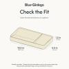 BLUE GINKGO Desk Organizer – Korean-Made Office Storage for Pens, Notes, Mail, and Supplies (Prussian Blue)(BEIGE)