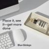 BLUE GINKGO Desk Organizer – Korean-Made Office Storage for Pens, Notes, Mail, and Supplies (Prussian Blue)(GREEN)