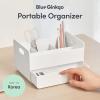 BLUE GINKGO Hive Desk Organizer – Vertical 6-Compartment, Full-drawer Storage – Space-Saving Pen Holder, Stationery Storage – Organizer for Office, School Supplies, Makeup (Made in Korea, Green)(WHITE)