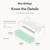 BLUE GINKGO Hive Desk Organizer – Vertical 6-Compartment, Full-drawer Storage – Space-Saving Pen Holder, Stationery Storage – Organizer for Office, School Supplies, Makeup (Made in Korea, Green)(BLUE)