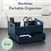 BLUE GINKGO Hive Desk Organizer – Vertical 6-Compartment, Full-drawer Storage – Space-Saving Pen Holder, Stationery Storage – Organizer for Office, School Supplies, Makeup (Made in Korea, Green)(BLUE)