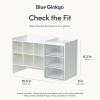 BLUE GINKGO Hive Stack Desk Organizer – Stackable Pen Holder, Stationary Organizer with Drawers – Office Storage, School Supplies, Makeup (Made in Korea, Blue)(WHITE TRNS)
