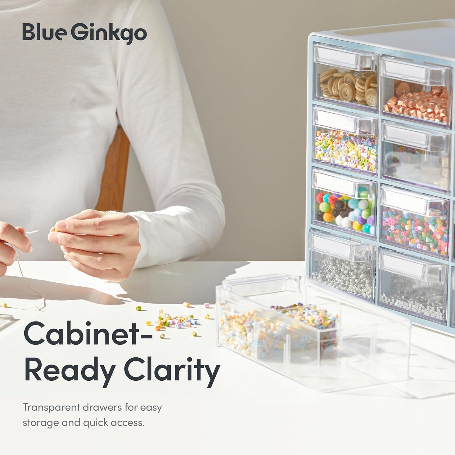 imageBlue Ginkgo Medium 16Drawer Cabinet Stackable Clear Organizer for Hardware Beads Plastic Bricks Office and Craft Storage Made in Korea GrayBLUE