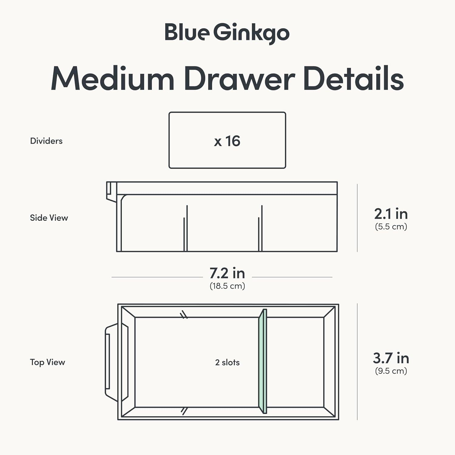 imageBlue Ginkgo Medium 16Drawer Cabinet Stackable Clear Organizer for Hardware Beads Plastic Bricks Office and Craft Storage Made in Korea GrayBLUE
