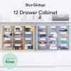 Blue Ginkgo Medium 16-Drawer Cabinet – Stackable Clear Organizer for Hardware, Beads, Plastic Bricks, Office, and Craft Storage (Made in Korea, Gray)(BLUE)