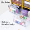 Blue Ginkgo Medium 16-Drawer Cabinet – Stackable Clear Organizer for Hardware, Beads, Plastic Bricks, Office, and Craft Storage (Made in Korea, Gray)(YELLOW)